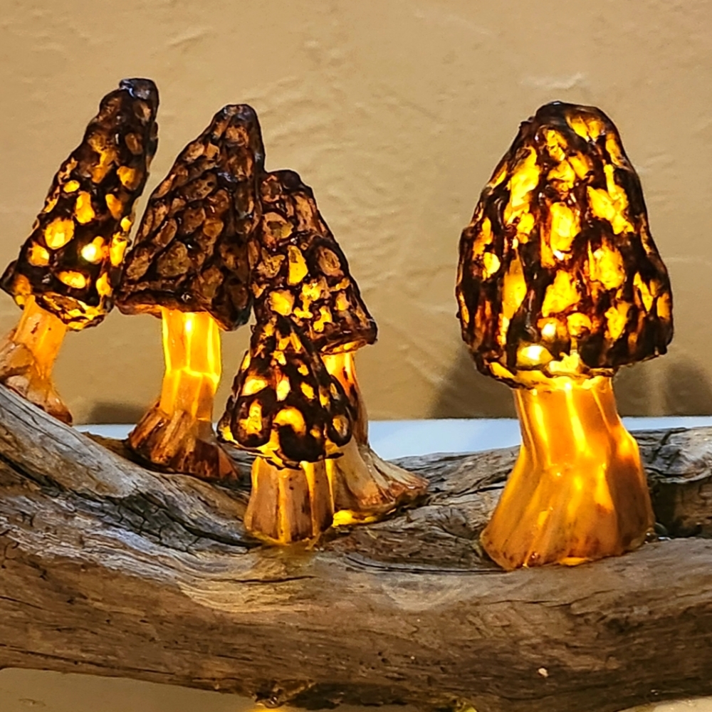SOLD-Beautiful Morel mushroom lamp/ nightlight